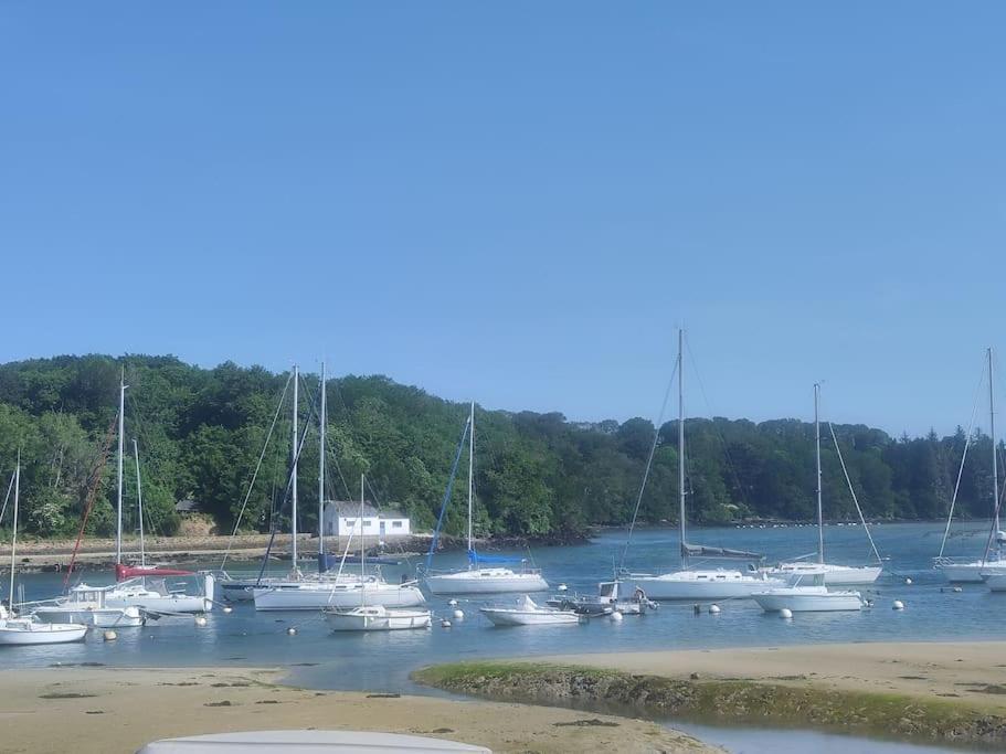 Appartement Nature Et Mer. Moëlan-sur-Mer Buitenkant foto